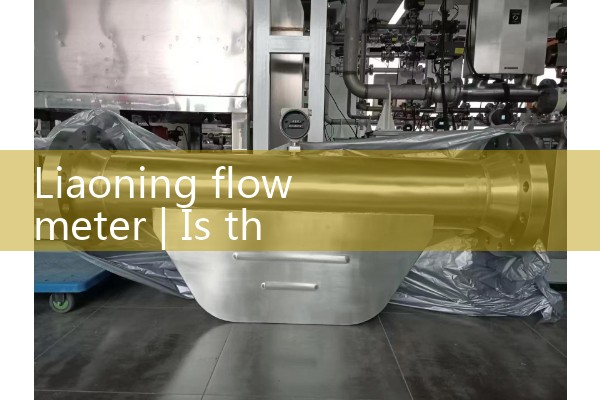Liaoning flowmeter